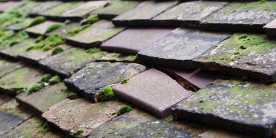 Caer Llan roof repair costs